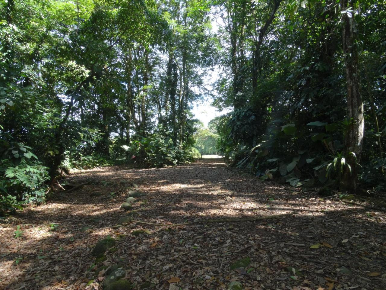 Horquetas River Lodge Sarapiquí Екстериор снимка