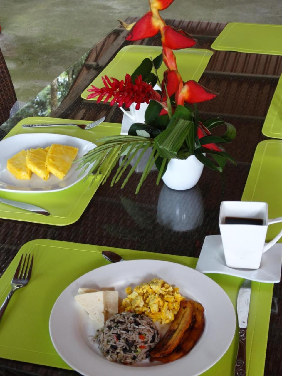 Horquetas River Lodge Sarapiquí Екстериор снимка