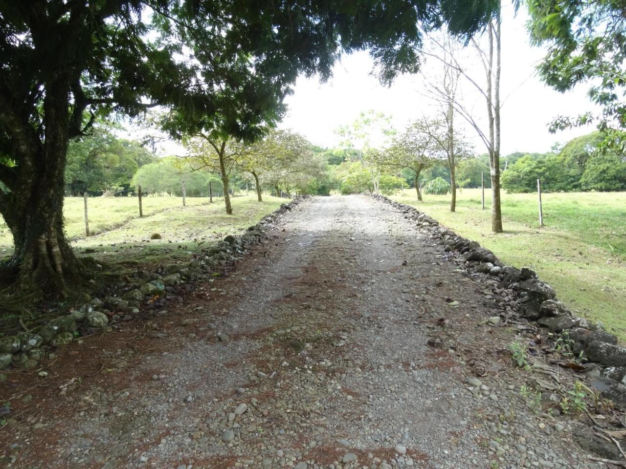 Horquetas River Lodge Sarapiquí Екстериор снимка