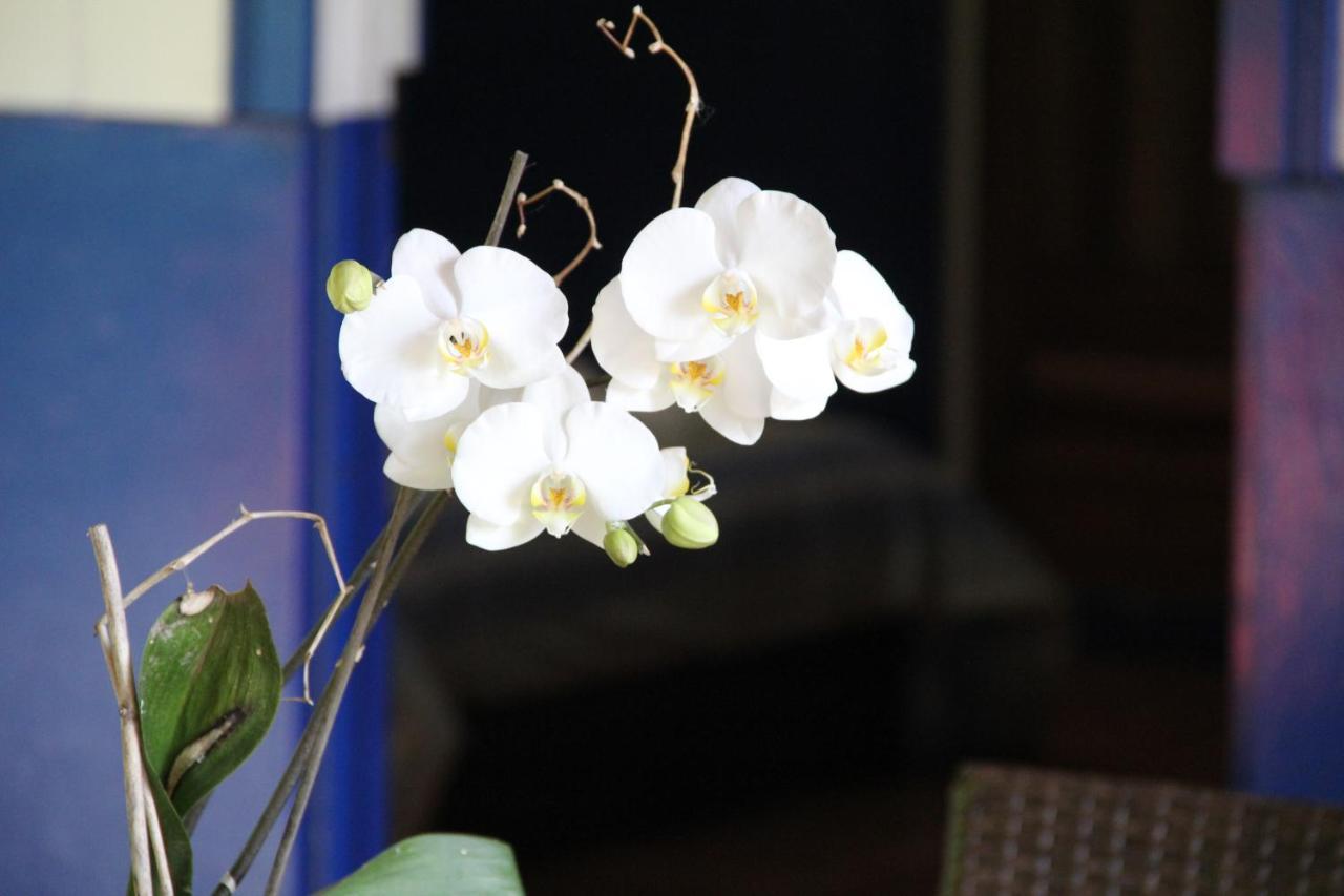 Horquetas River Lodge Sarapiquí Екстериор снимка