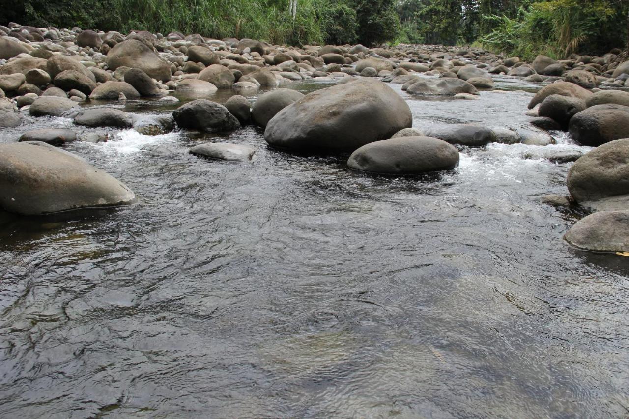 Horquetas River Lodge Sarapiquí Екстериор снимка