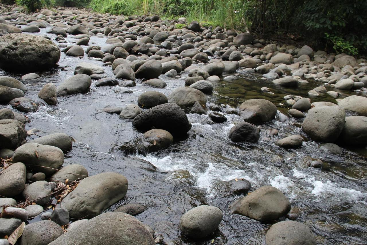 Horquetas River Lodge Sarapiquí Екстериор снимка