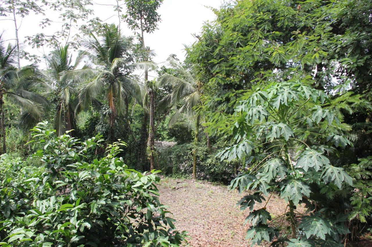 Horquetas River Lodge Sarapiquí Екстериор снимка