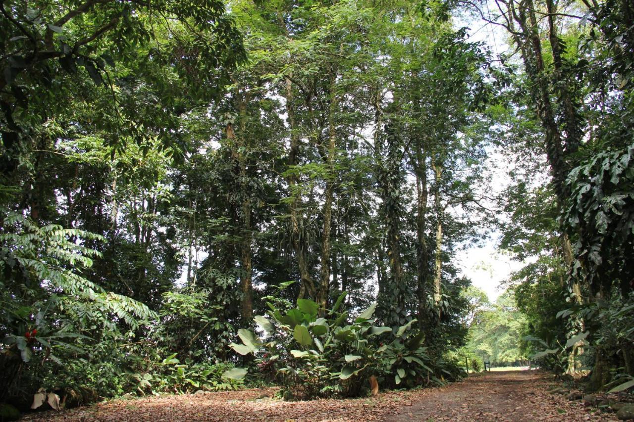 Horquetas River Lodge Sarapiquí Екстериор снимка