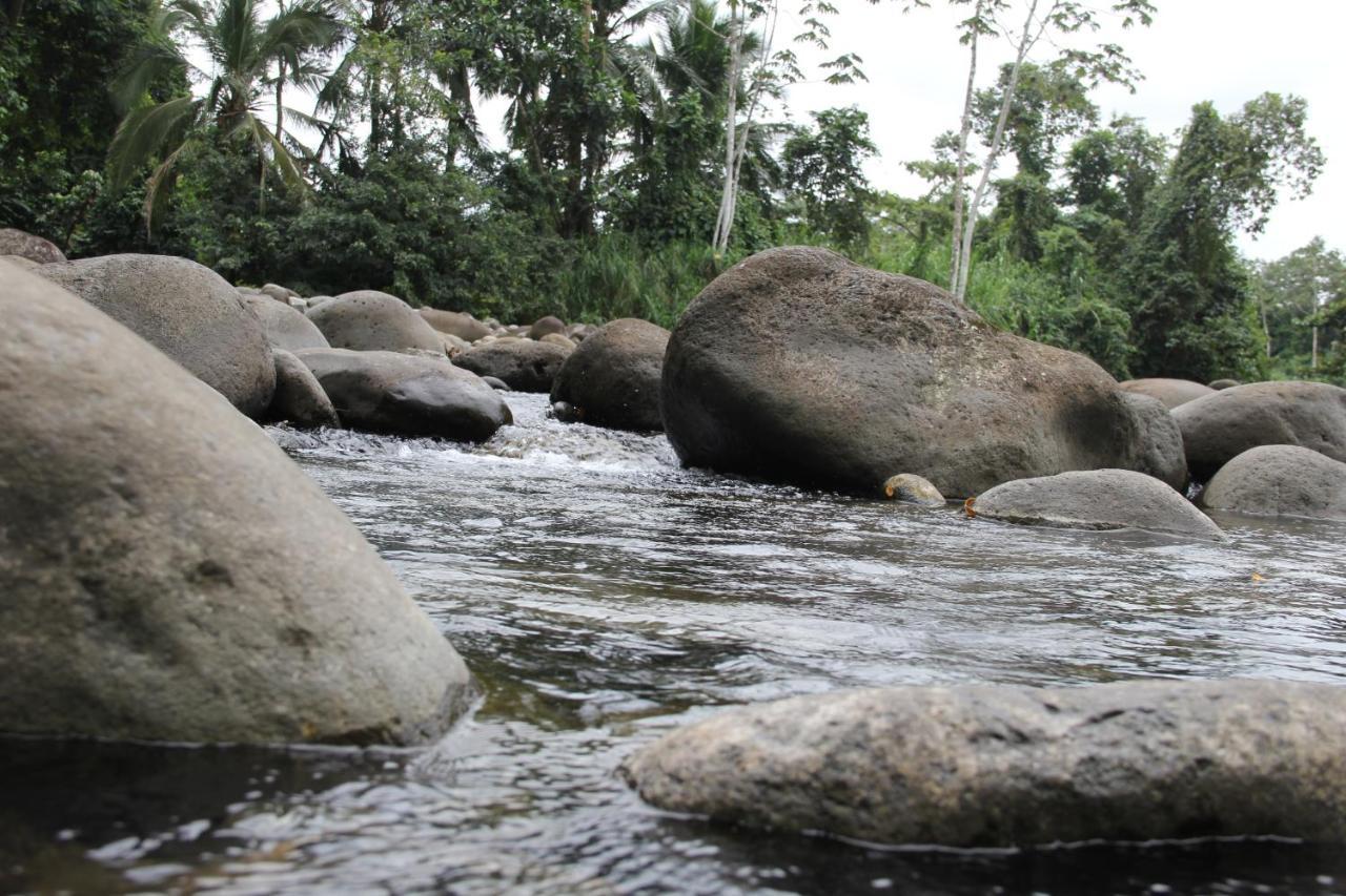 Horquetas River Lodge Sarapiquí Екстериор снимка