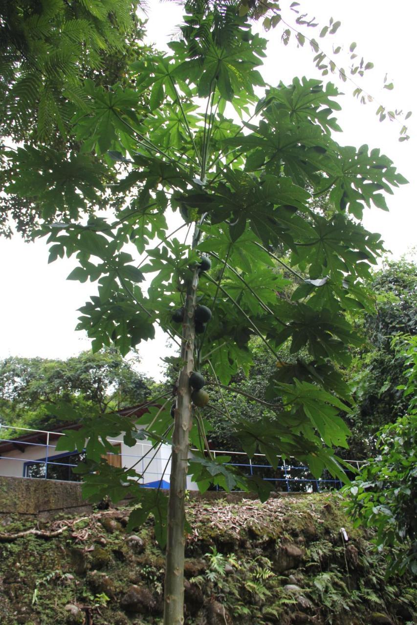 Horquetas River Lodge Sarapiquí Екстериор снимка
