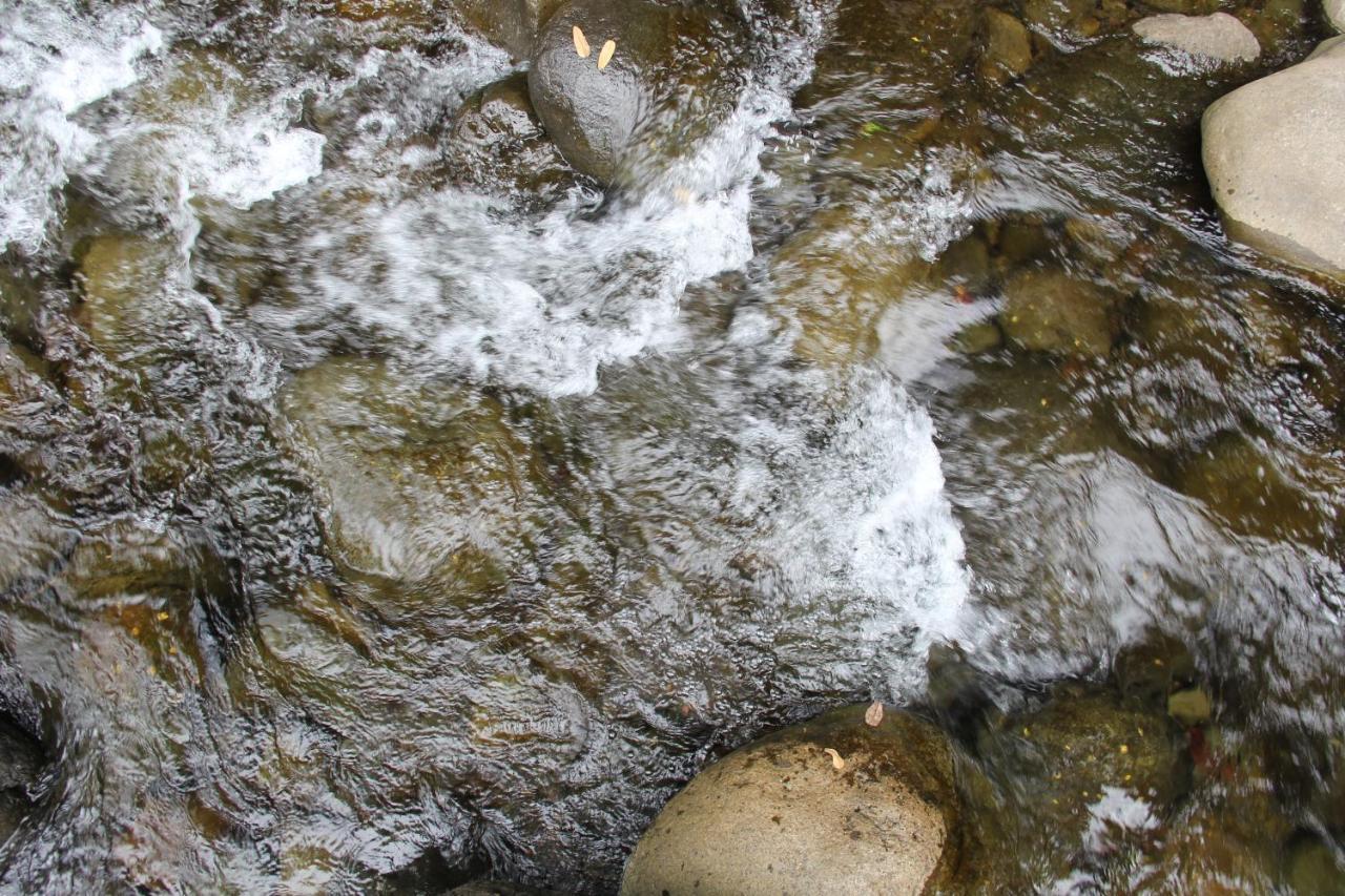Horquetas River Lodge Sarapiquí Екстериор снимка