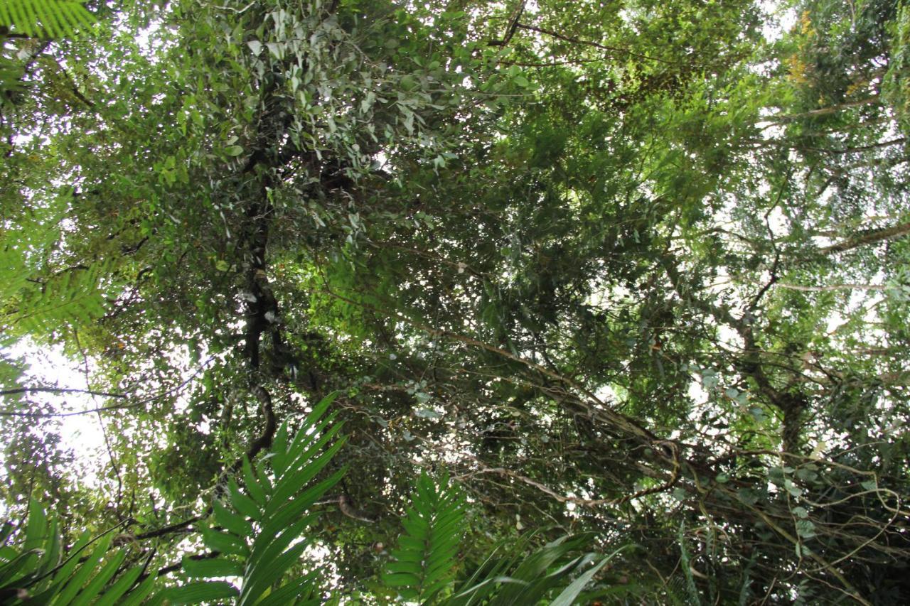 Horquetas River Lodge Sarapiquí Екстериор снимка