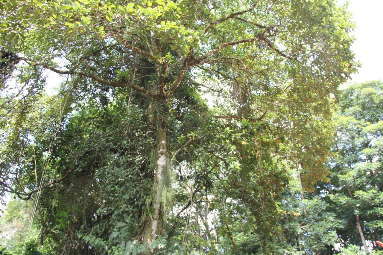 Horquetas River Lodge Sarapiquí Екстериор снимка