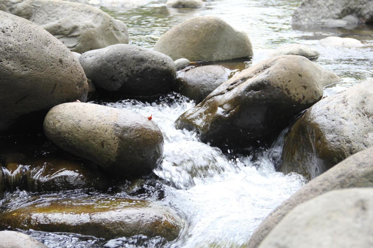 Horquetas River Lodge Sarapiquí Екстериор снимка