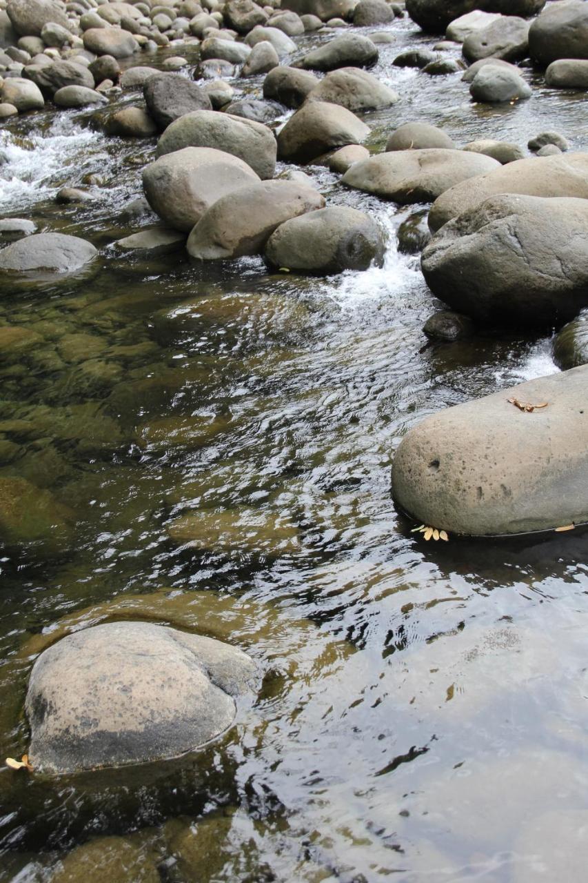Horquetas River Lodge Sarapiquí Екстериор снимка